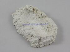 Muschelhalter Gr. S schwere