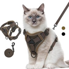 Katzengeschirr mit Leine aus