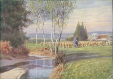 Ansichtskarte F.A. Ackermann Kunstverlag 1941 Schafherde Hirte Paul Hey (b130)