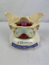 Ethicon anatomisches