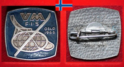 Wintersport badge ski nordisch - wintersport,