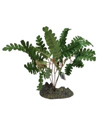 Flora dekor maidenhair - flora,