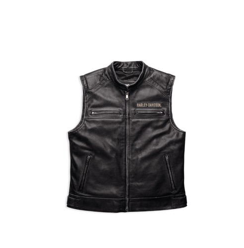 Harley davidson passing link - harley-davidson,