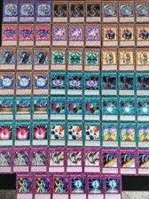 Yu-Gi-Oh! GX Kristallungeheuer Deck Sgx1 Common  Anime  Deck Regenbogendrache 