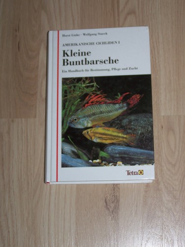 Kleine buntbarsche - kleine,