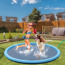 Hundepool Schwimmbecken