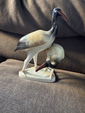 Hollohaza Ibis Vogelpaar