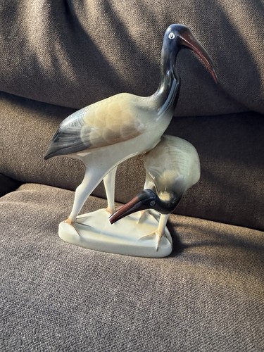 Hollohaza ibis vogelpaar - ibis,