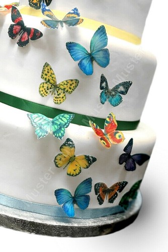 Schmetterling tortenbild party - schmetterling,