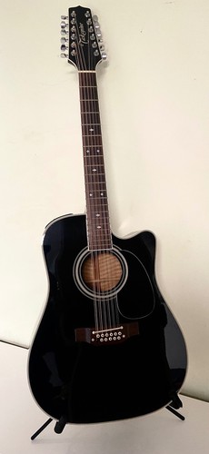 Takamine ef381c saitige - ef381c, 12-saitige