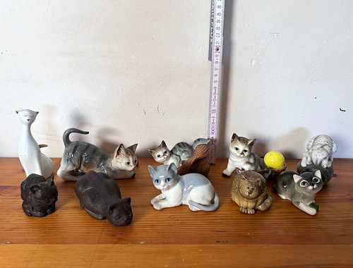 Konvolut katzen - konvolut,