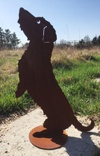 Hund Willy Rauhaardackel macht