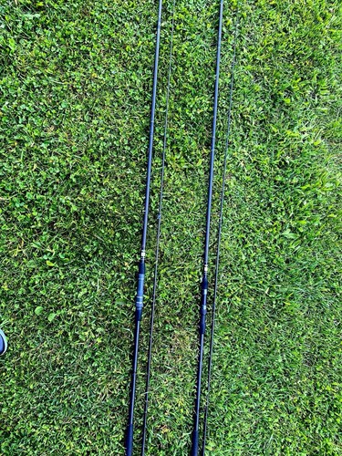 Daiwa karpfenruten pro carbon - daiwa,