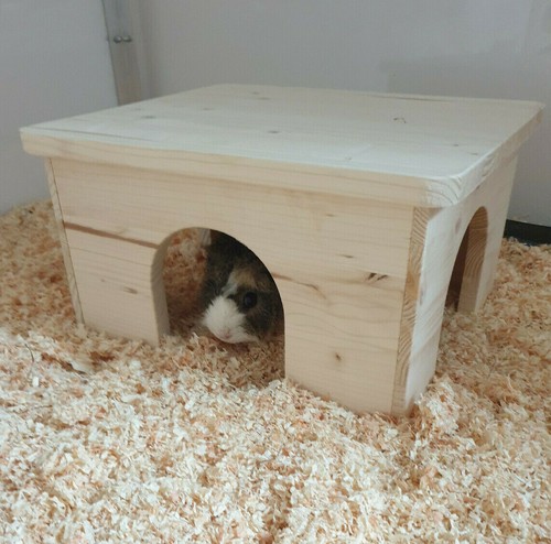 Meerschweinchenhaus