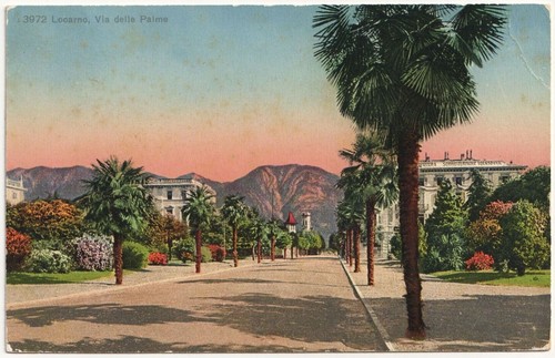 Locarno via delle palme - delle, palme.