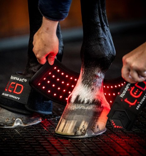 Horseware led rotlichttherapie - horseware,