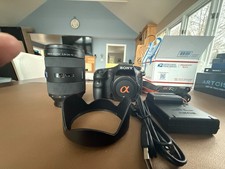 Sony Alpha a77 DSLR + Carl