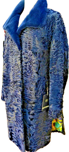 Blau gefärbter breitschwanz - ,