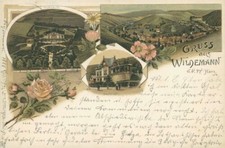 Ansichtskarte Wildemann Harz