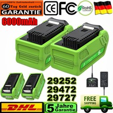 6,0Ah 40V Li-Ion Akku für