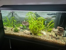 Aquarium 80 Liter  mit