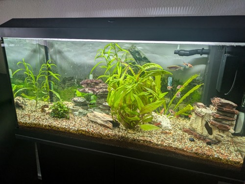 Aquarium liter mit - aquarium,