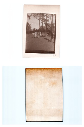 Westerplatte - ,