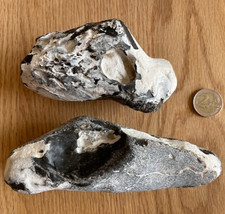 Feuerstein Flintsteine