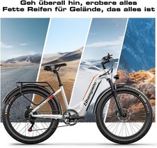 Shengmilo MX06 1000W