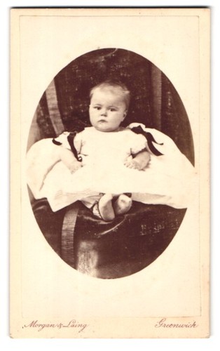 Fotografie morgan laing - fotografie,