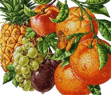 Stickvorlage Bild Vorlage