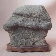 Suiseki Bonseki Bonsai