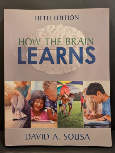 How the brain - brain, david