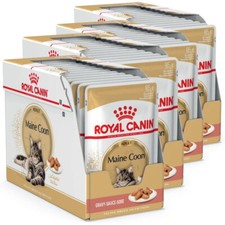 Royal canin maine - royal, coon
