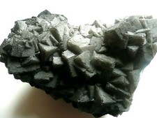 Großstufe Fluorit xx, Denton Mine, Goose Creek,  Hardin County, Illinois, USA