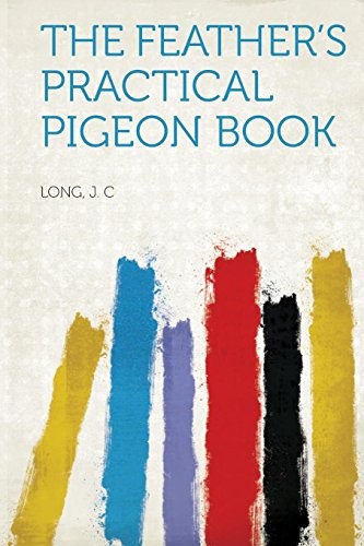Feather practical pigeon - feather's,