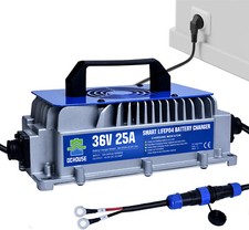 36V 25A Batterie Ladegerät für LiFePO4 Lithium Batterie Auto Motorrad Golf Cart