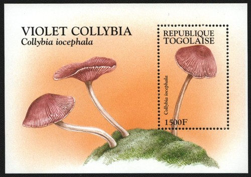 Togo 1995 block 388 - togo,