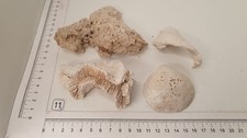 11a nano aquarium - nr.11a,