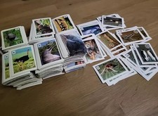 Ca. 1300 Sammelbilder - Mit 180 Stickern um die Welt