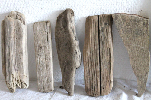 Schwemmholz treibholz 9 - treibholz,