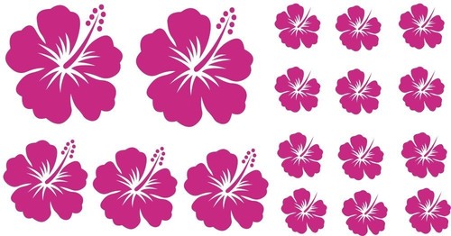 Pink stück hibiskus - 17,