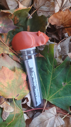 Geocachingversteck aus dem 3D