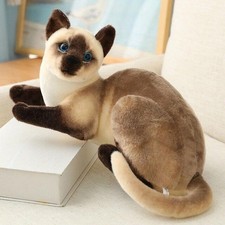 Katze kuscheltier 25 - katze,