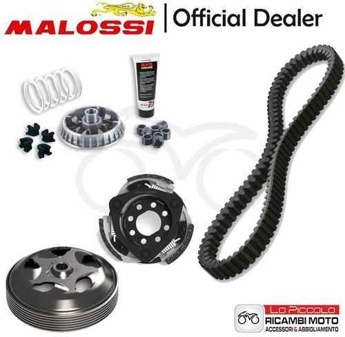 Malossi variator kit - malossi,