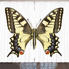 Schwalbenschwanz Schmetterling