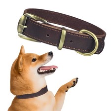 Hundehalsband Leder Hunde
