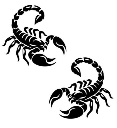 Skorpion links rechts - 2x,