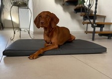 Petlando Orthopädisches Hundebett Milton Ortho Bett Hund Schlafplatz S, M, L,XL