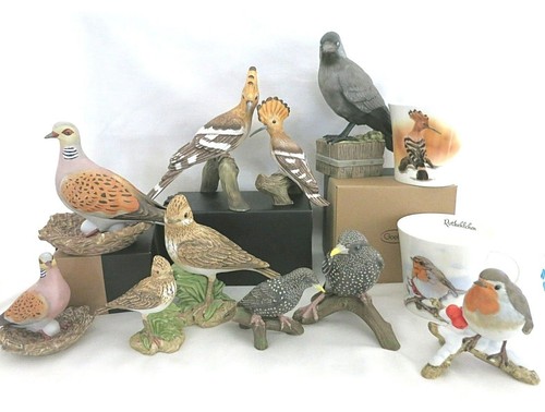 Neu goebel vogel des - neu,